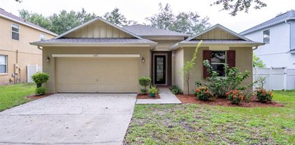 522 Vicks Landing Drive, Apopka