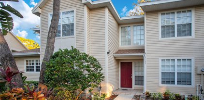 2137 Clover Hill Road, Palm Harbor