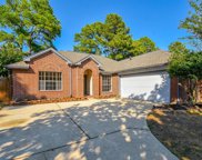22326 Hollybranch Drive, Tomball image
