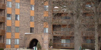 120 N Lakeview Drive Unit #517, Bloomingdale