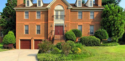 7204 Quiet Cv, Annandale