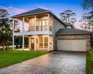 25203 Elijah Court, Tomball image
