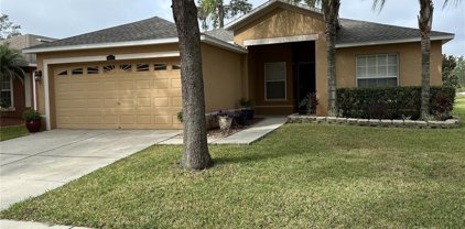 3937 Constantine Loop, Wesley Chapel