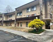 8023 Old Highway 73 Unit 104, Townsend image
