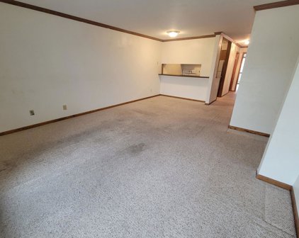 12968 Nicollet Avenue Unit #202, Burnsville