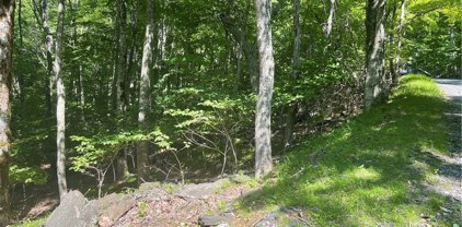 TBD Lot 125 Gorge Overlook Road, Todd
