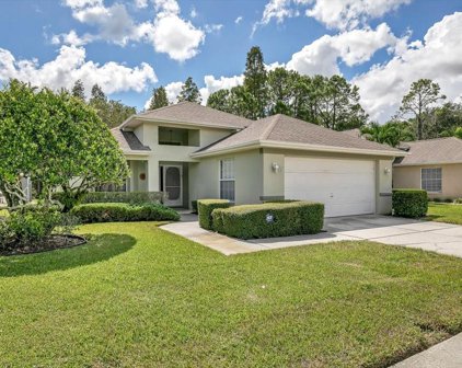 7814 Tenby Court, New Port Richey