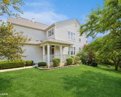 478 Peregrine Parkway Unit #D, Bartlett