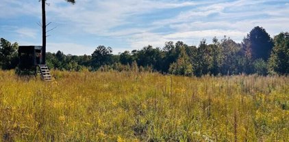 County Road 205, Fruithurst