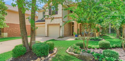 127 Black Swan Place, The Woodlands