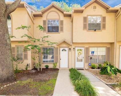 2342 Fletchers Point Circle, Tampa