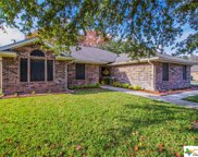 1206 Chisholm Trail, Salado image