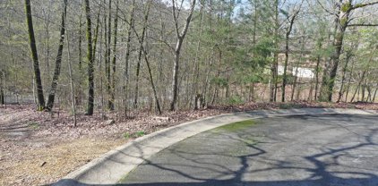 Lot 1 Rose Creek, Hot Springs