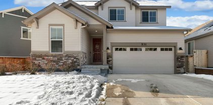 531 Ranchhand Dr, Berthoud
