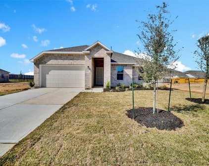 10623 Amador Peak Drive, Rosharon