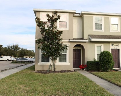 7006 White Treetop Place, Riverview