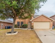 1313 Water Lily  Drive, Little Elm image