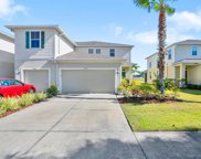 10973 Verawood Drive, Riverview image