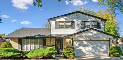 610 E Burr Oak Drive, Arlington Heights