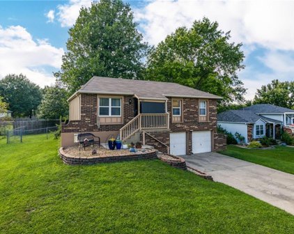 1105 NW CONWAY Court, Blue Springs