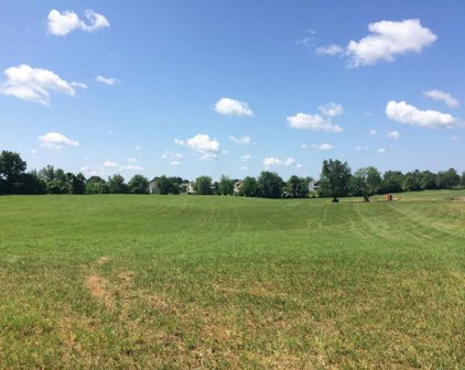 Hwy 41 A/Hicks Edgen Rd., Pleasant View