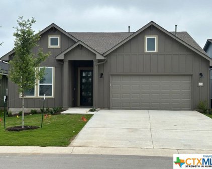 1253 Dancing Oak Lane, San Marcos