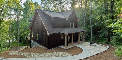 2719 Owl's Cove Way, Sevierville