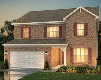 2481 River Cane Way (Lot 231), Buford
