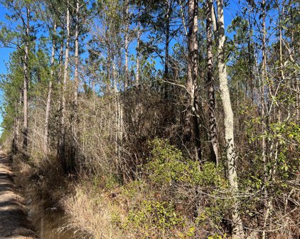 Tract 4 County-Line Road S, Jesup