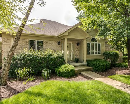 2216 Durand Drive, Downers Grove