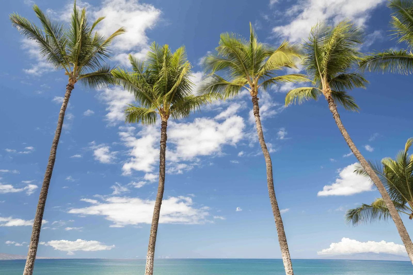 West Maui homes for sale