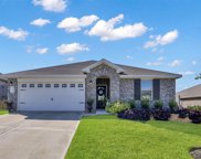 11511 Parrot Fish Court, Conroe image