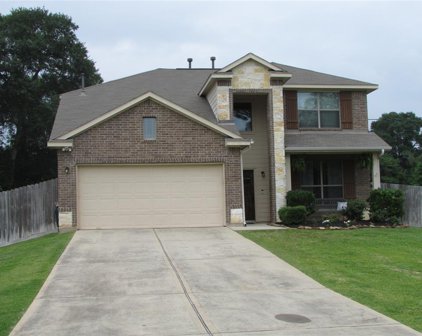 13276 Hidden Trail Court, Willis