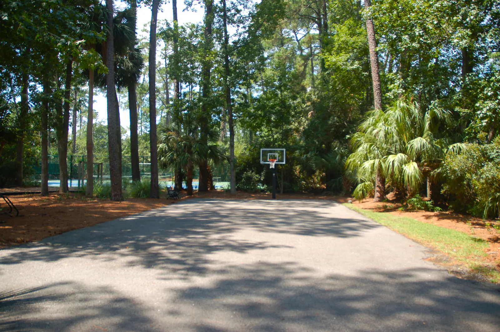 Ashton Cove community basketball court
