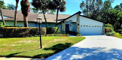 3542 Tanglewood Trail, Palm Harbor