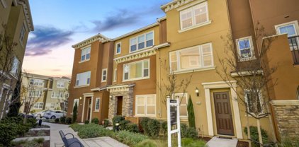 38864 Myrsine PL, Newark