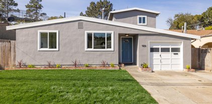 909 Newman DR, South San Francisco