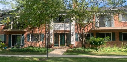 715 E Falcon Drive Unit #E109, Arlington Heights