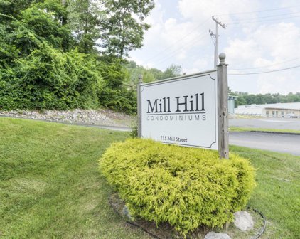 215 Mill St Unit 117, Worcester