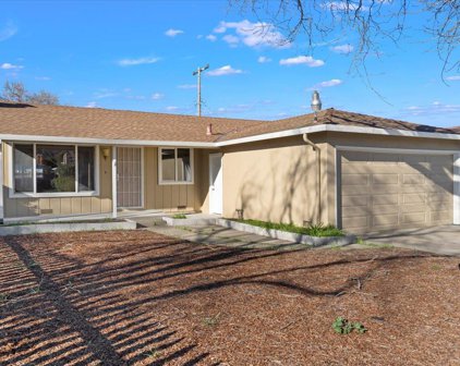 249 Sylvia AVE, Milpitas