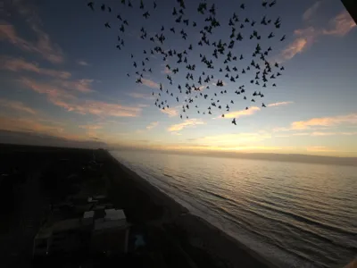 Myrtle Beach - Carolina Sumitt Rochelle Roesler Century 21 Real Estate Professor