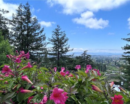1009 Keith Avenue, Berkeley