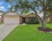 16923 Lighthouse View Drive, Friendswood image