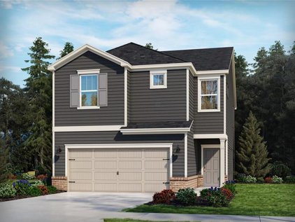 632 Citriadora  Street, Fort Mill