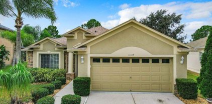 11117 Hoffner Edge Drive, Riverview