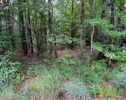 Cubitt Creek Dr, Heathsville