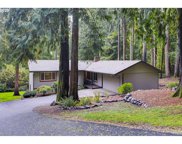 11919 NE SLIDERBERG RD, Brush Prairie image