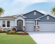 23164 Scaglione Drive, Lutz image