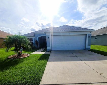 3617 Trapnell Grove Loop, Plant City