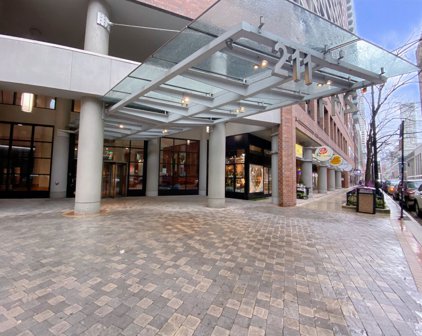 211 E Ohio Street Unit #1605, Chicago